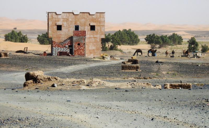撒哈拉沙尘暴照片,撒哈拉沙漠沙尘暴实拍