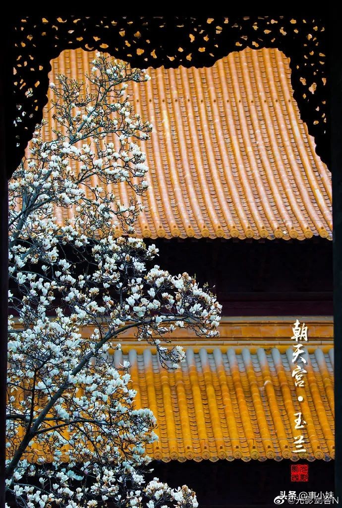 南京是什么味的,南京以什么口味为主