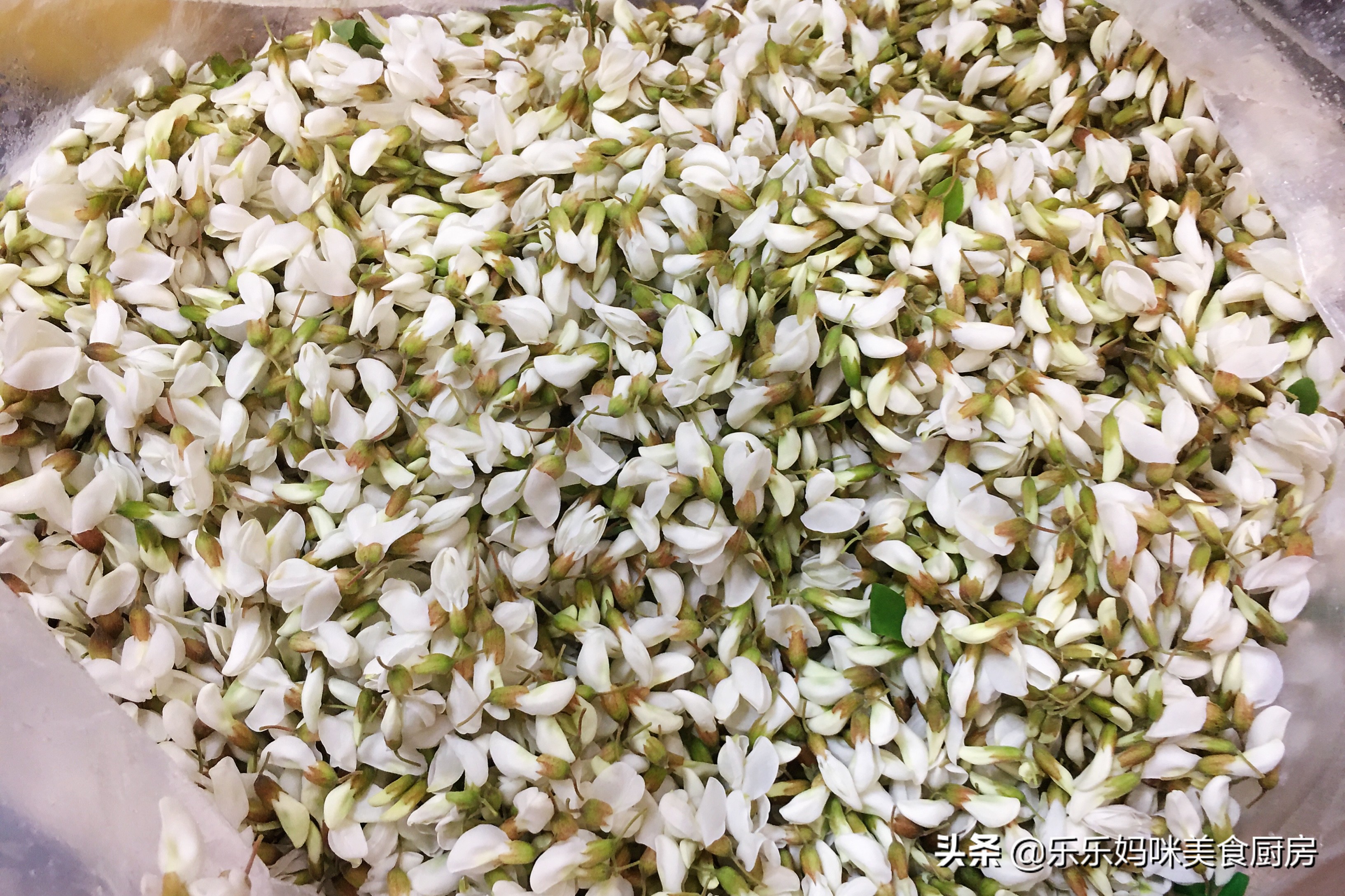 怎么能让槐花一直保持香气,槐花怎样储存保鲜的时间较长