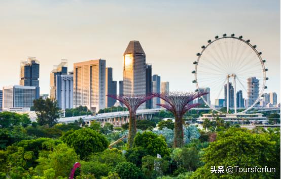 新加坡航线|邮轮低至$264/人