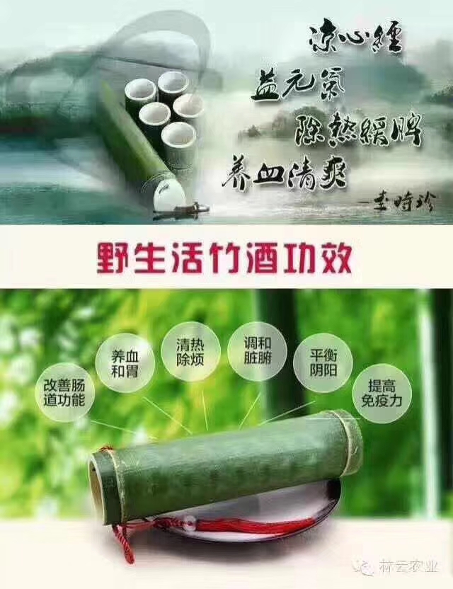 绿韵泉竹酒图片,绿韵泉活竹酒洛宁
