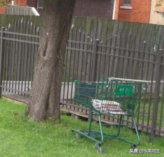 国际出行攻略,新西兰旅游攻略租车