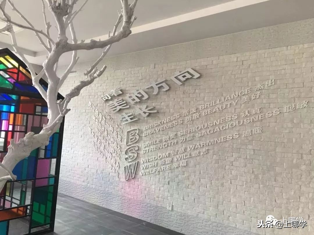 上海最美公办小学,上海环境最好的小学