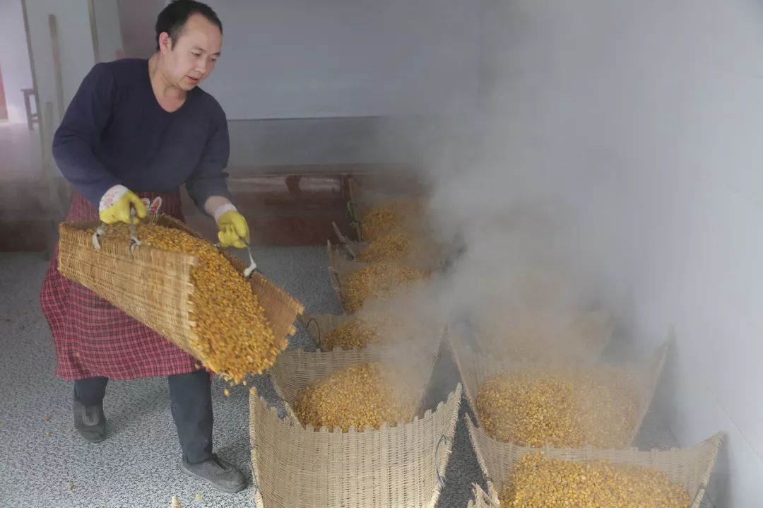 云南的酒哪种最好喝,给北方朋友科普一下云南的酒文化