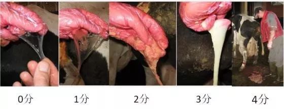 鏇规澃濂剁墰鐤剧梾,鏇逛富浠讳负鎴戜滑璁茶В鐤剧梾鐭ヨ瘑