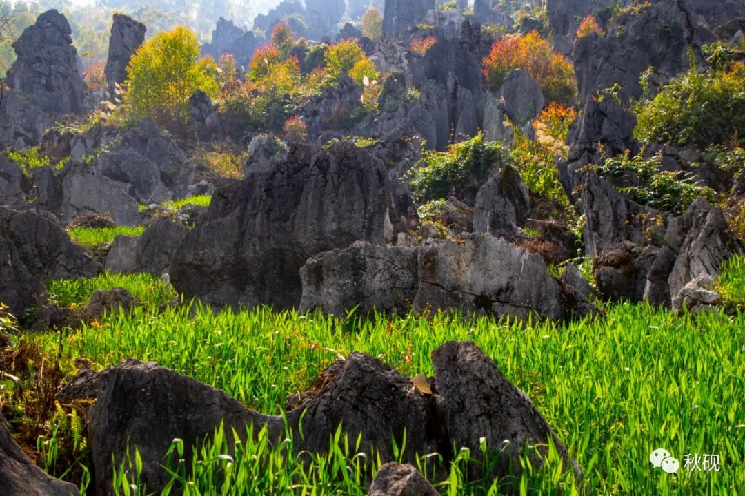 周游西南随记（六）弥蒙的万峰林