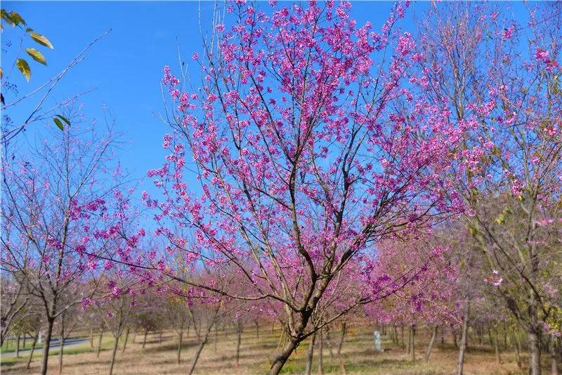 瞧!这花花世界谁不爱