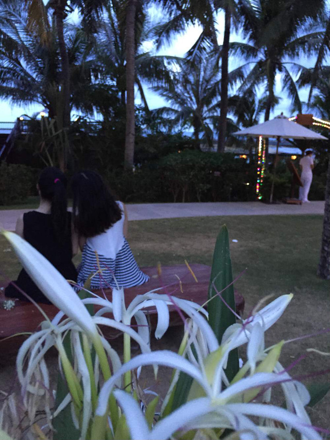 海南三亚旅游攻略三日游,海南三亚三日自由游