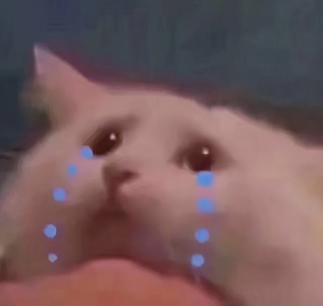 人民日报点评种植牙,人民日报修复牙齿