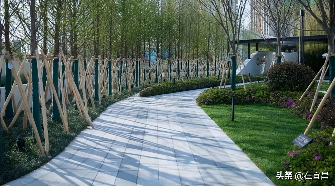 牛！这样的伍家岗，你怎能不爱