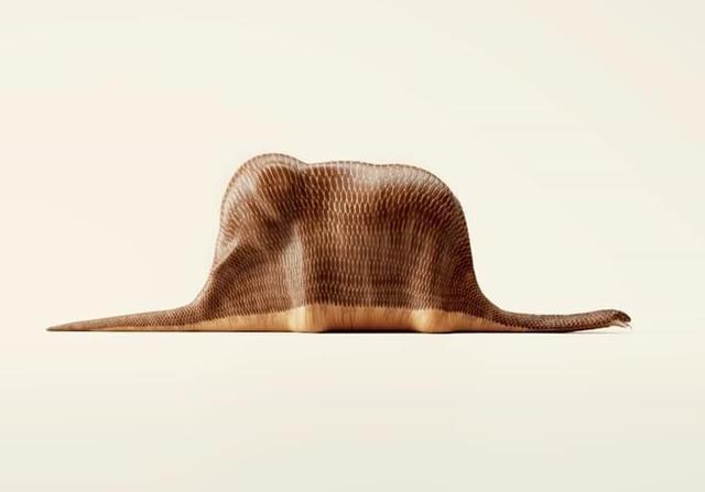 3米长的巨蟒在闹市被发现,巨蟒对巨蟒