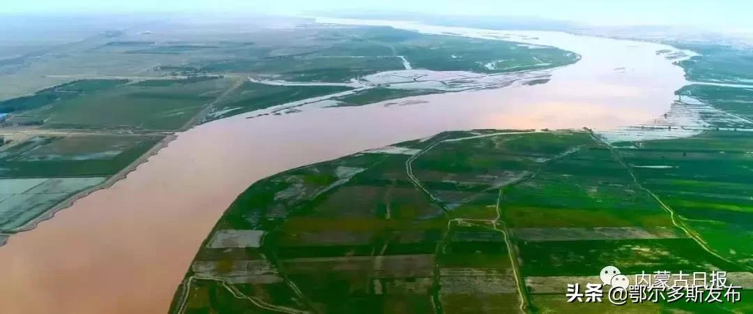 一粒麦子现场,一粒麦子在巴彦淖尔视频