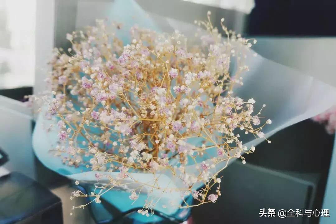 心灵鸡汤的正能量句子短句,心灵鸡汤短句经典正能量句子