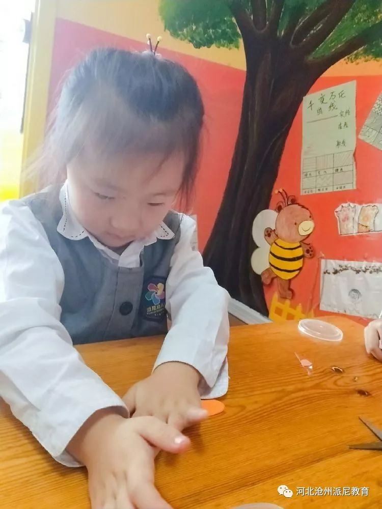 身体大揭秘动画,身体大揭秘