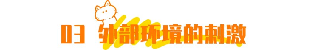 抖音特别能尿床的猫,猫咪尿床发抖音