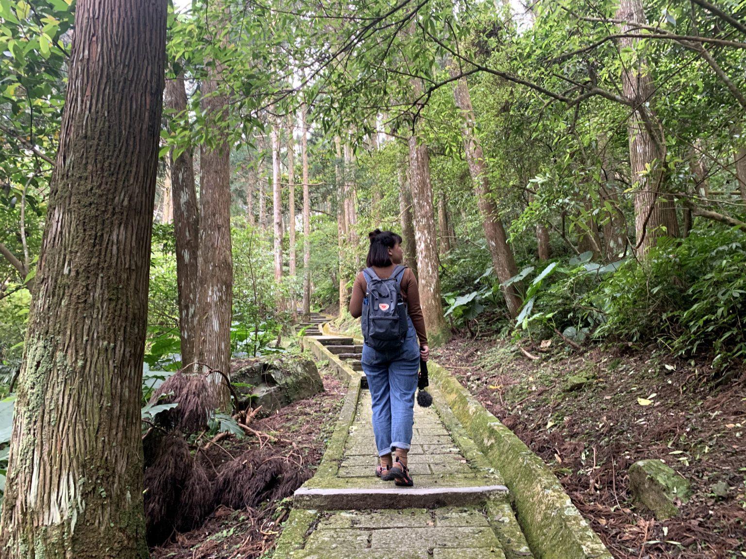 lnt原则是什么,lnt法则的核心七大原则
