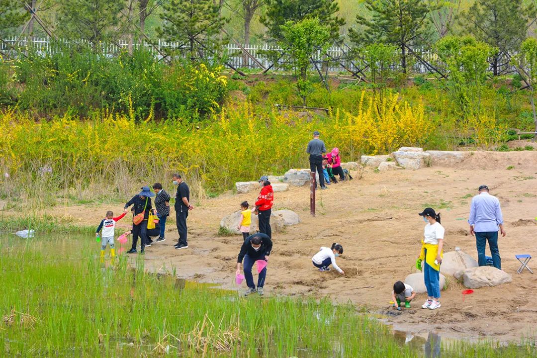 北京新开40个公园在哪里,北京十佳公园