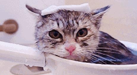 广东省内海拔最高的5星温泉金叶子，高山温泉+房间温泉一并拥有