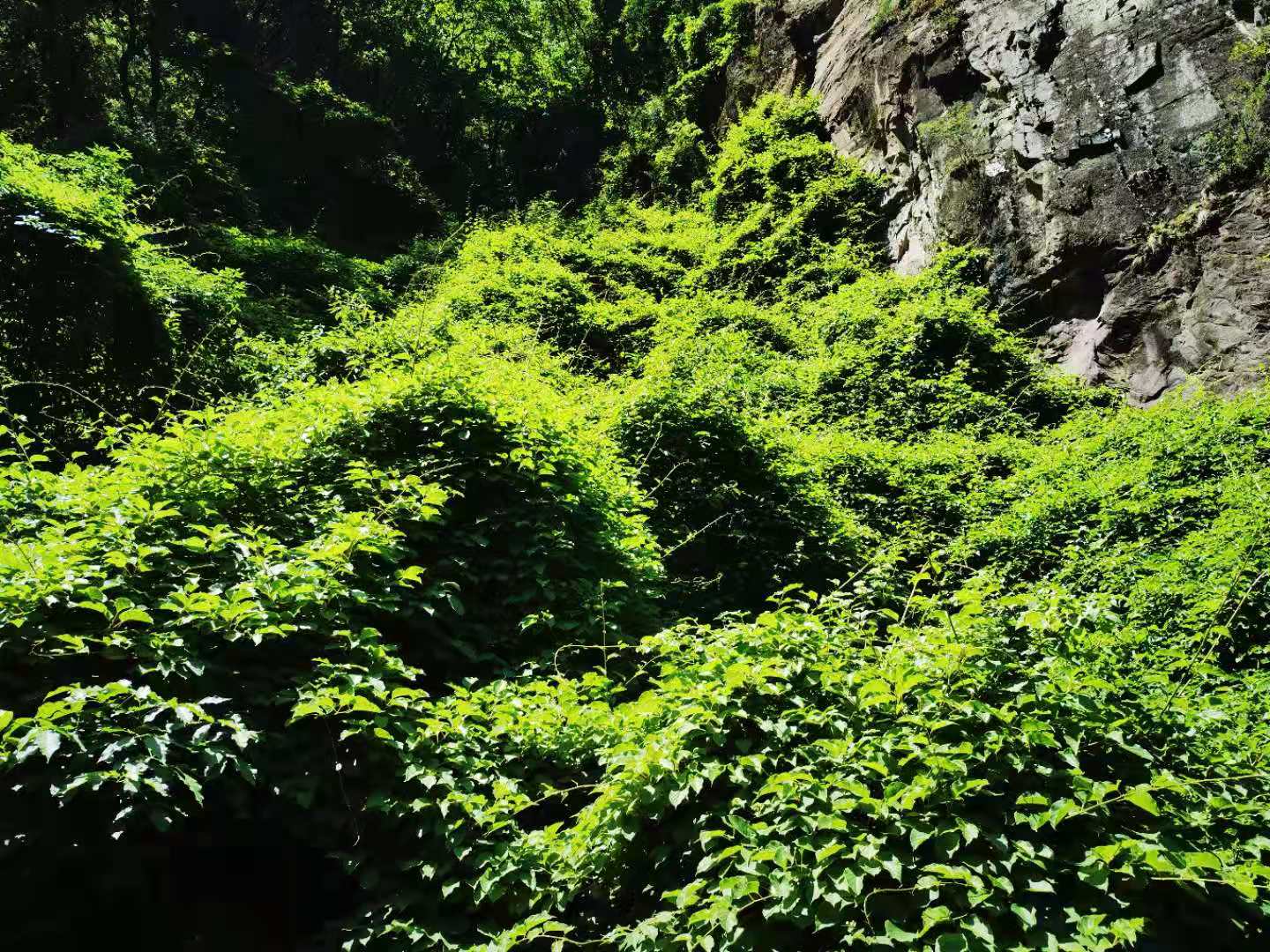 打卡北京双龙峡风景区,十里溪流百潭瀑布,北方小九寨名不虚传