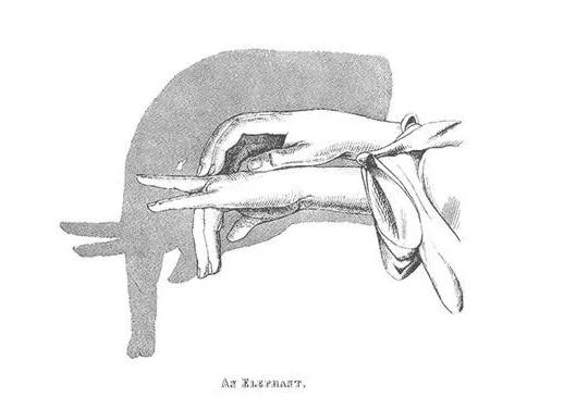 宝宝睡前玩的手影游戏,儿童手脑协调游戏