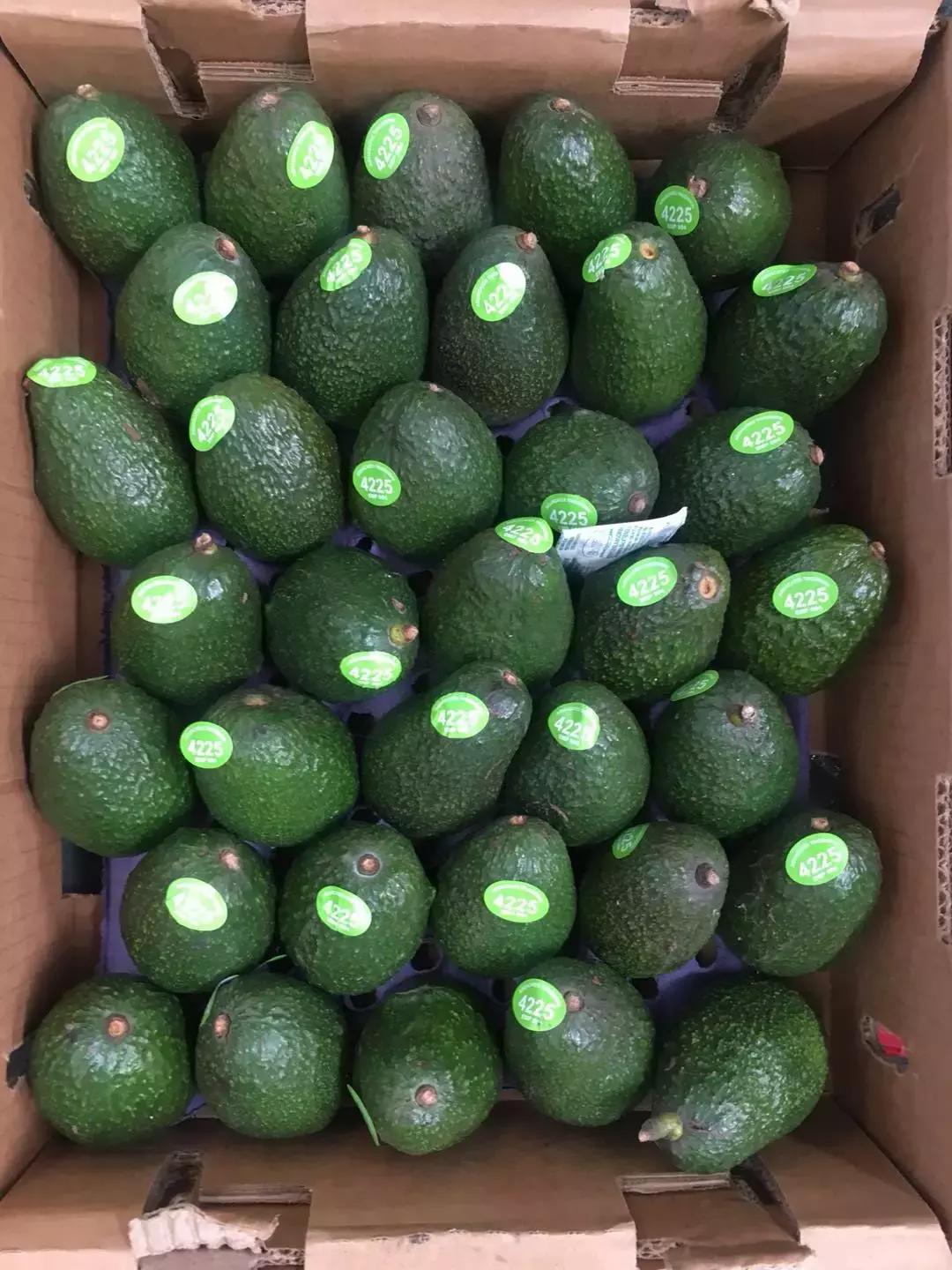 各国脐橙产量,全球柑橘排行榜