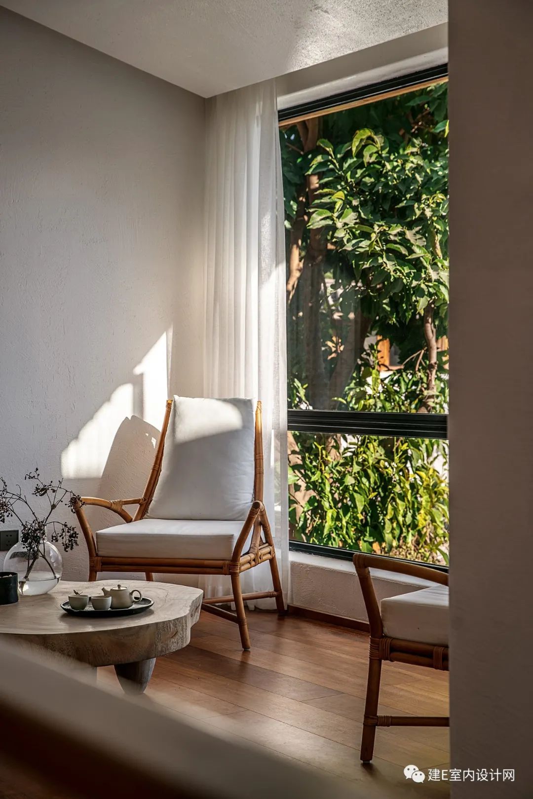 乘风破浪谢柯,谢柯个人简历