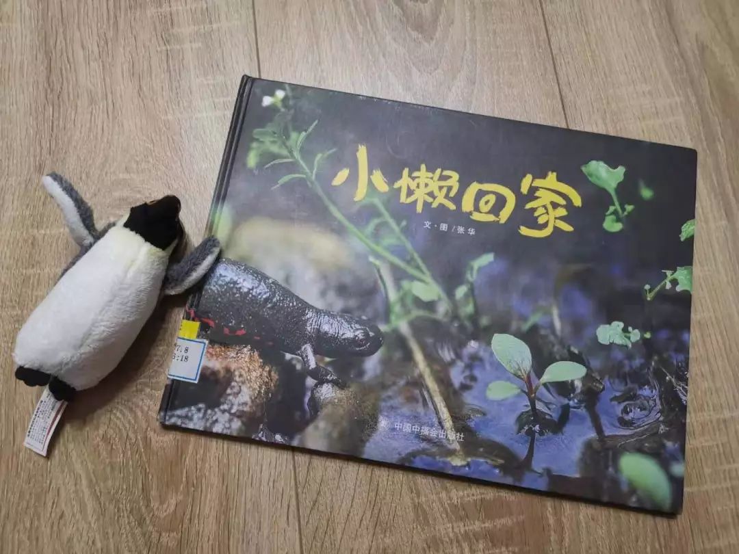 这8套大师级的中国原创绘本，用动画般的画面让孩子目不转睛