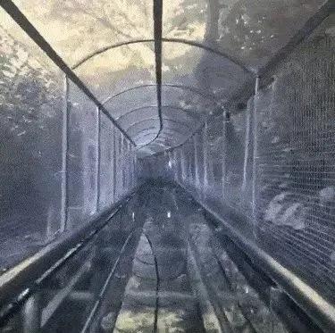 扩散|天津首个“7D花海天空之境”开放?全国都翻车了