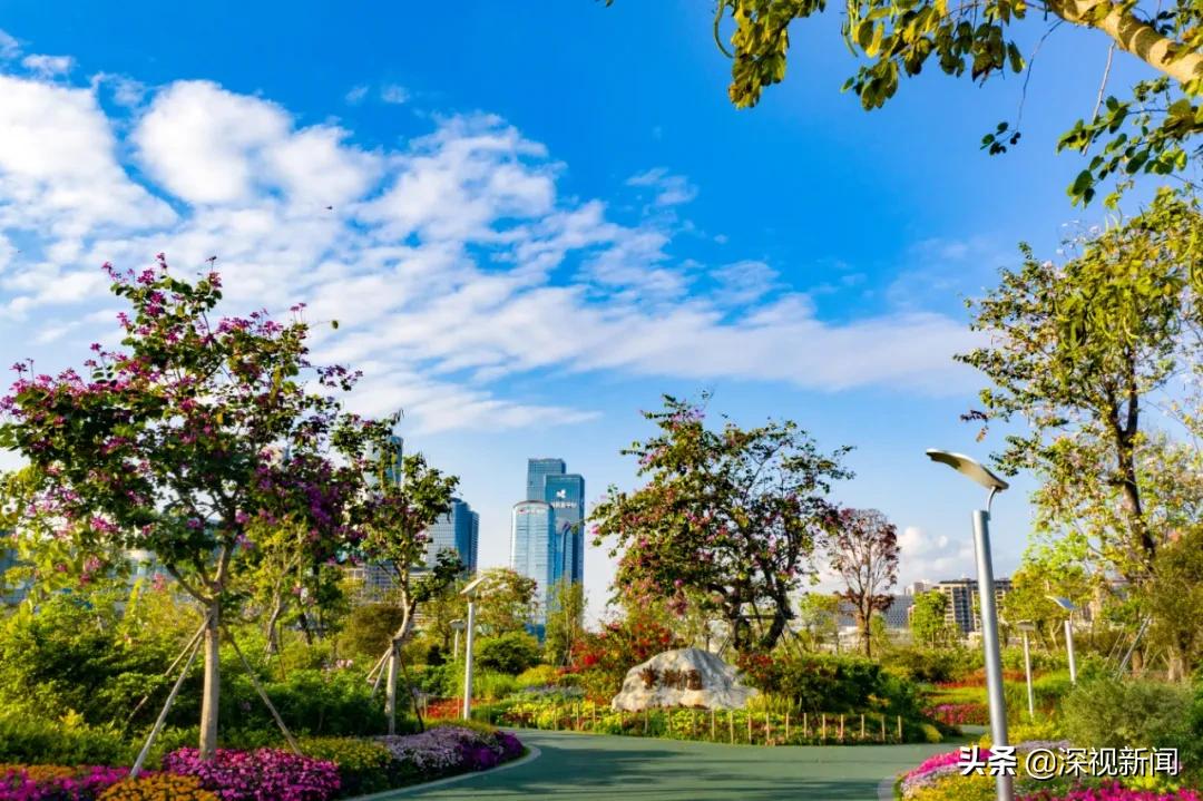 这就是幸福日本歌曲,重庆幸福南山