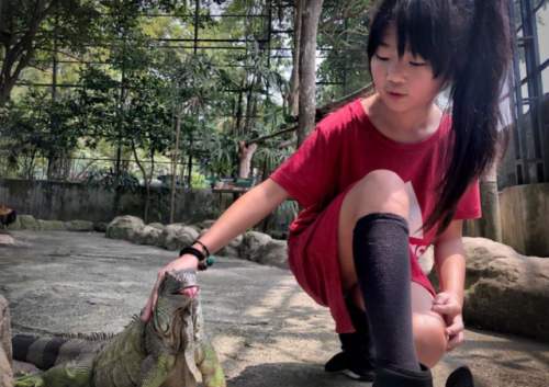 曹格女儿长大后的样子,曹格女儿逆袭瓜子脸