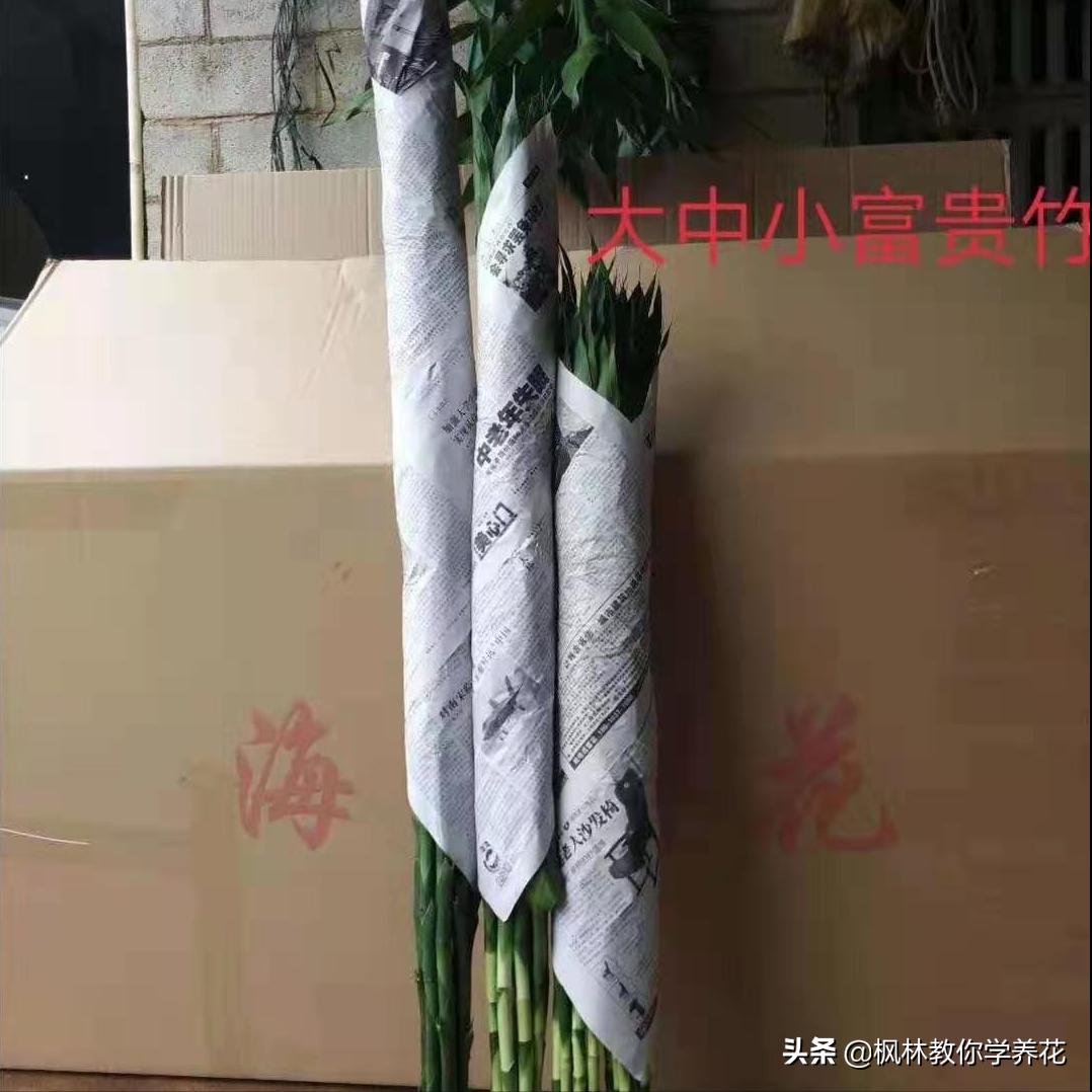 英雄不问出处落魄不问缘由,英雄不问出处历史趣闻知识分享