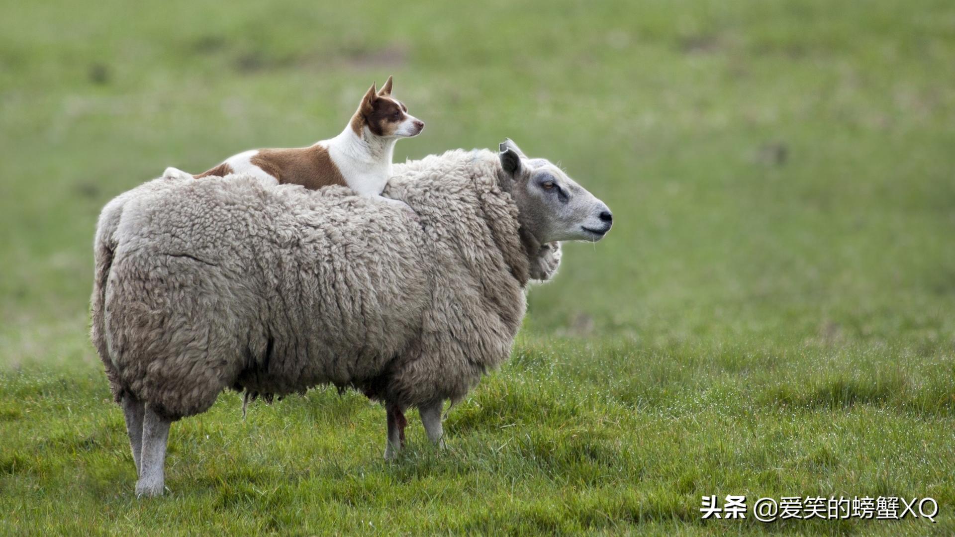 如何简单完整的做一张ps图,ps怎么制作图片详细步骤