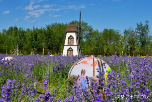 响沙湾景区教师节教师有优惠吗,教师节有什么免费又好玩的景点吗