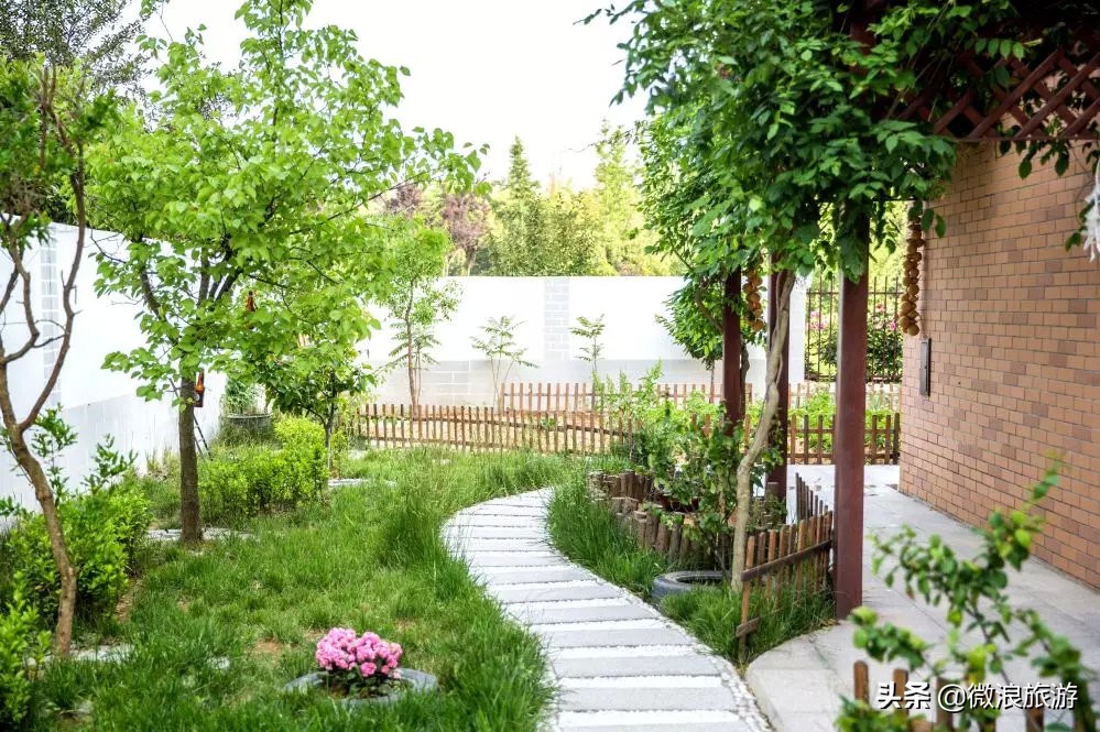 白鹭湾的“选美大赛”，谁是你心中最美的“姑娘”