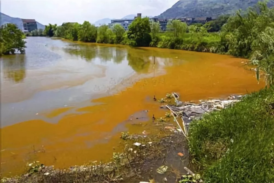 养殖塘水锈,养殖水有锈