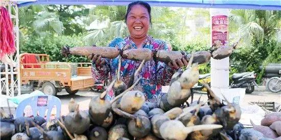 广州南沙区飞速发展,即将崛起的广州南沙区