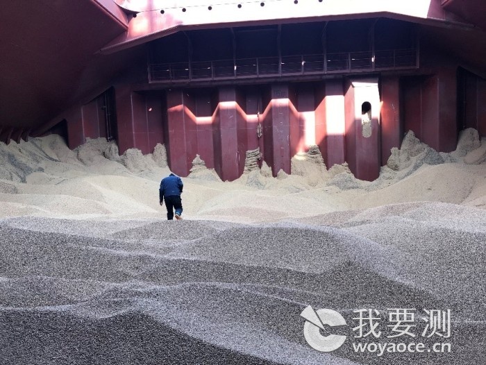 转基因大豆的发展史,转基因大豆的历史