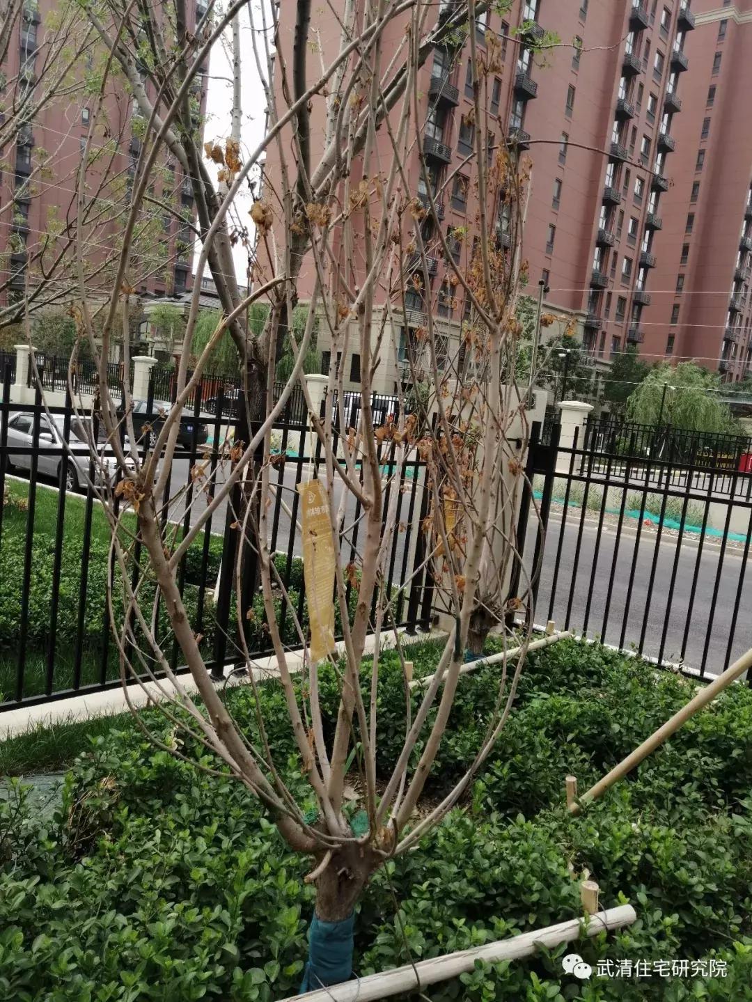 武清南湖片区房子值得投资吗,武清南湖地铁五号线规划图