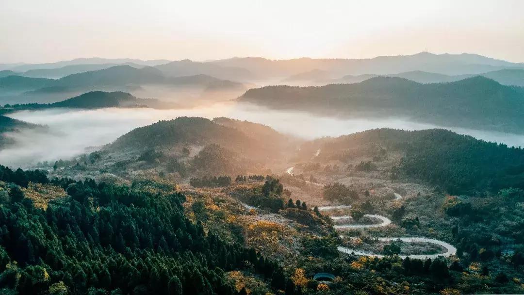 全球最大的城市森林公园,全球最绿色的城市