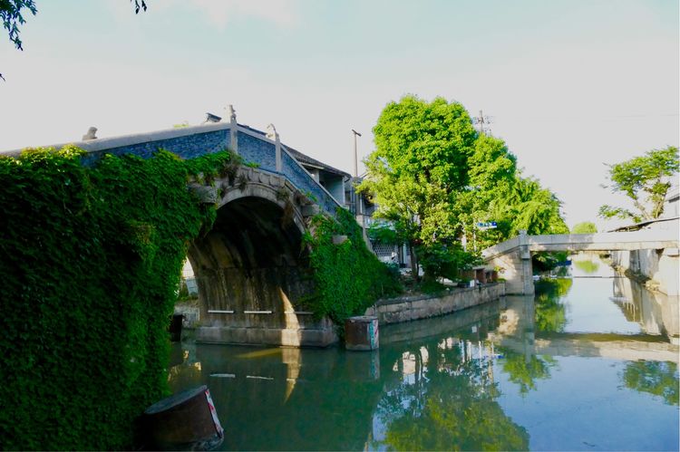 私藏在上海都市深处的古镇，闹中取静，你知道是哪吗？