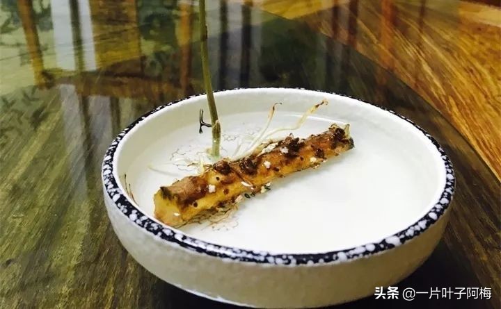 一节山药丢水里，疯狂长藤“冒金豆”，赏叶又吃豆，*管双**齐下