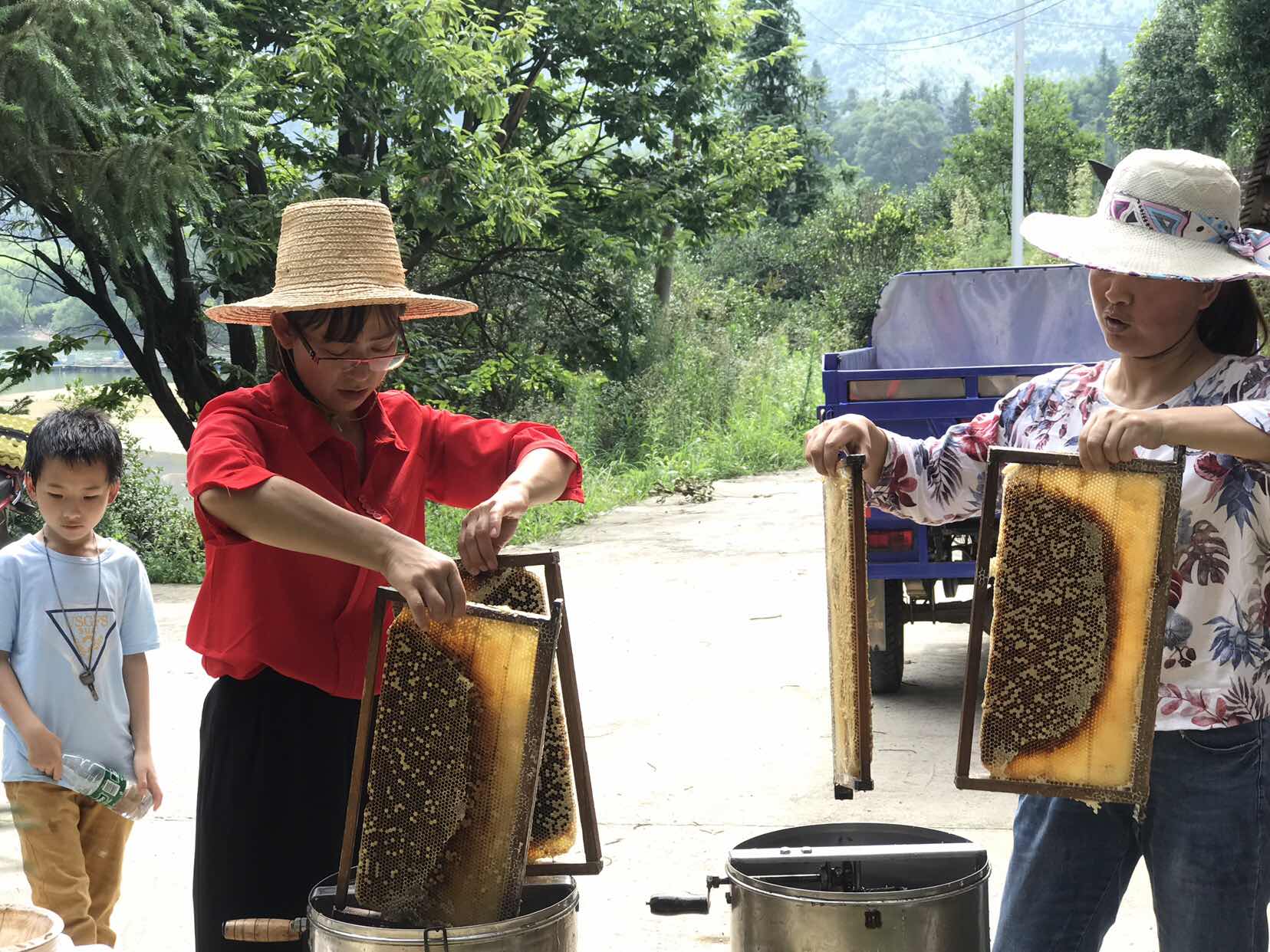老蜂农新思想蜂蜜卖上互联网,养蜂人如何宣传自己的蜂蜜