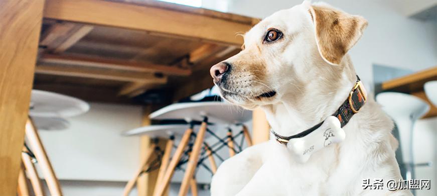 精品加盟店最火爆的项目,开一家精品店创业项目