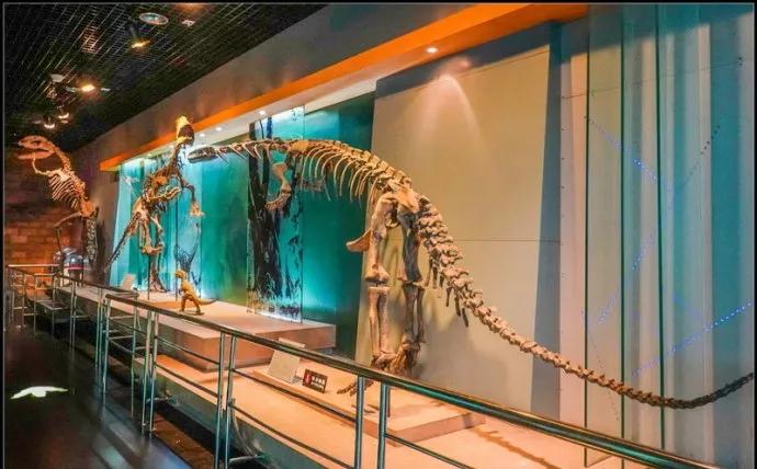 常州恐龙园恐龙穿越侏罗纪,常州恐龙园恐龙游街