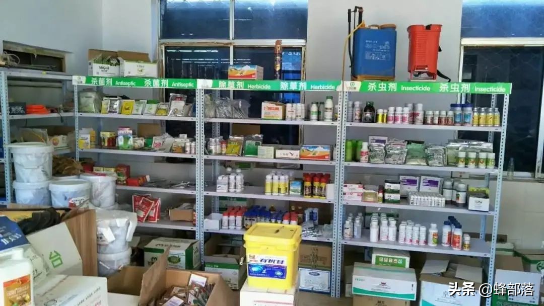 农村做什么生意赚钱创业项目,农村在家可以赚钱的项目有哪些