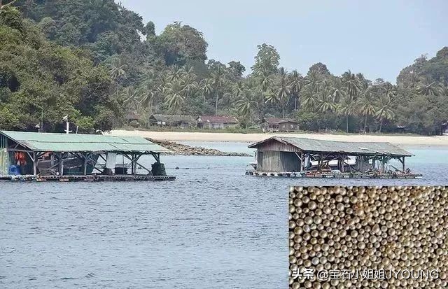 缅甸金珠是南洋珍珠吗,缅甸金珍珠就是南洋金珍珠吗