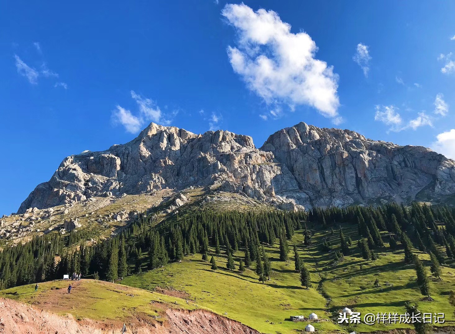 一家三口游北疆攻略,一家三口去北疆旅游大概花多少