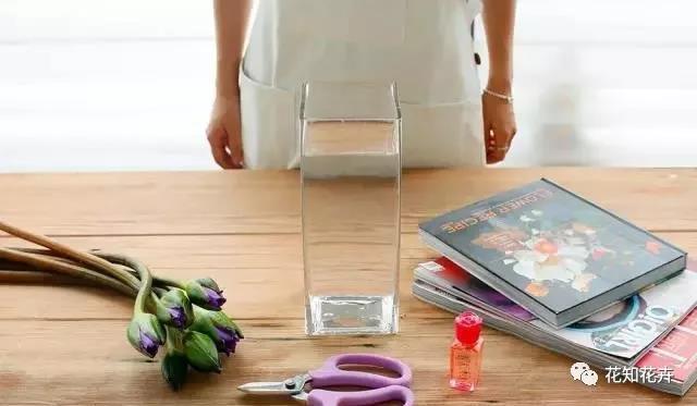 睡莲养护教程,睡莲养护方法教程视频全集