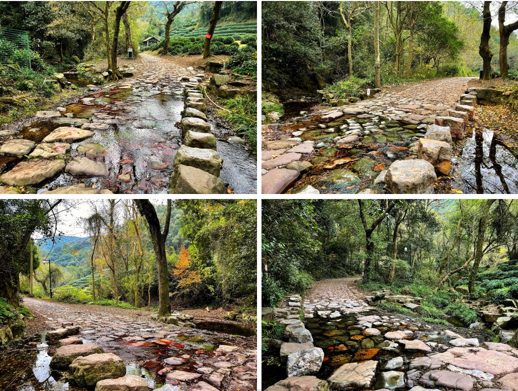 杭州九溪十八涧环境,杭州九溪十八涧四五月有什么风景