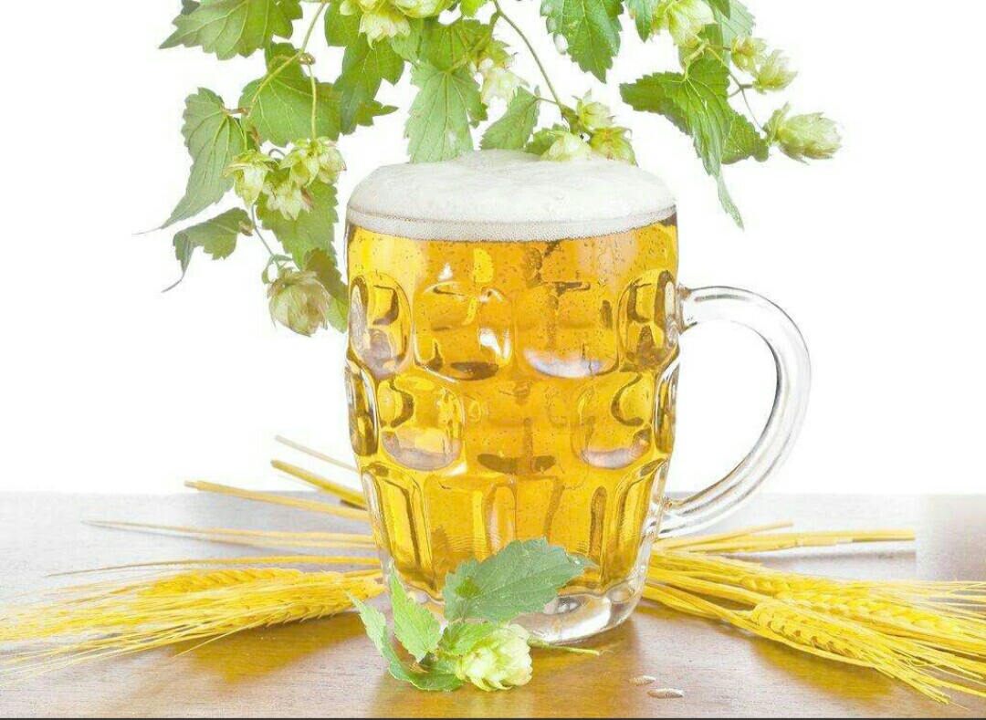 淘米水养花会板结吗,淘米水浇花味道难闻怎么办